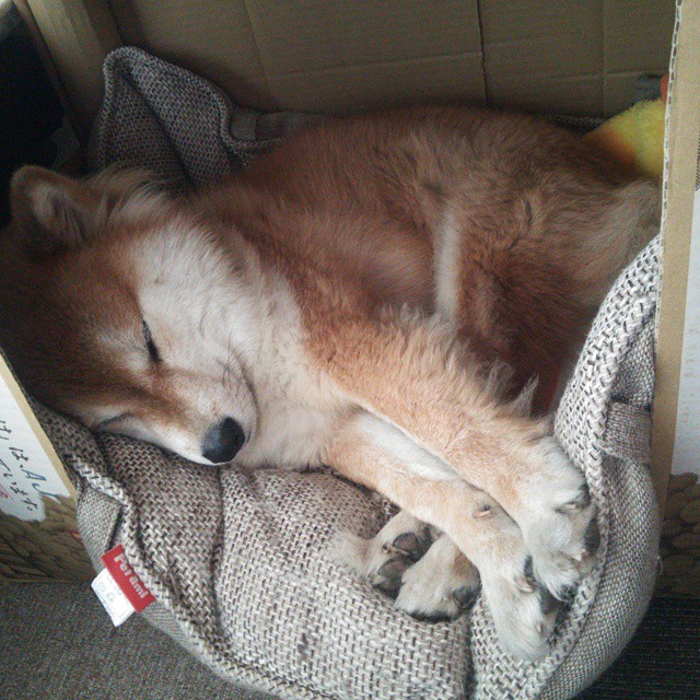 开云入口-KPL赛事观众画像分析:谁在看KPL?他们的喜好是什么?,kpl选手视角