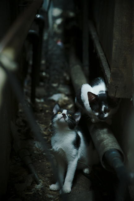 开云官网APP下载-_国家队精英训练营：名将提前备战年度赛事_，进国家队训练有工资吗