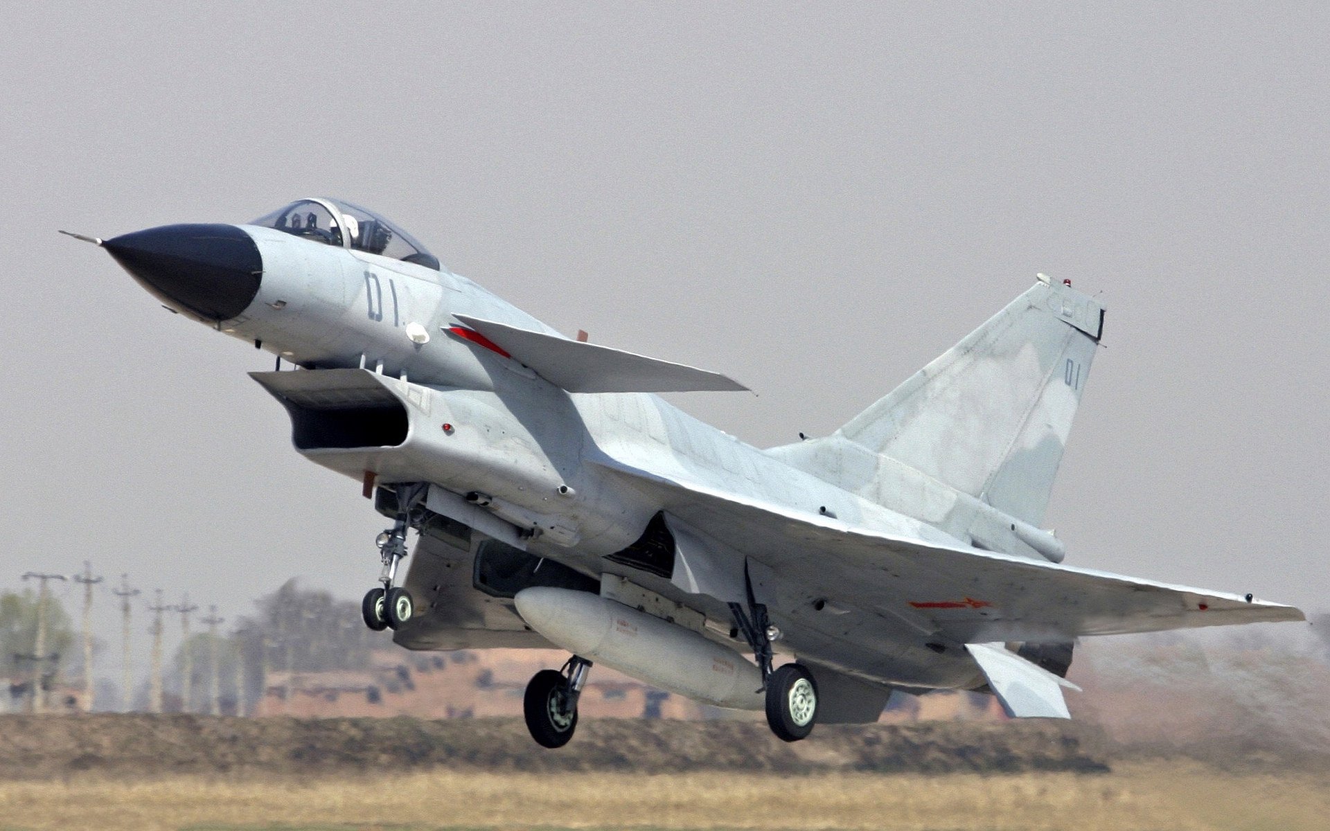 开云官方网页登录-_野生动植物保护跑：运动与环保双赢_，野生动植物保护宣传海报