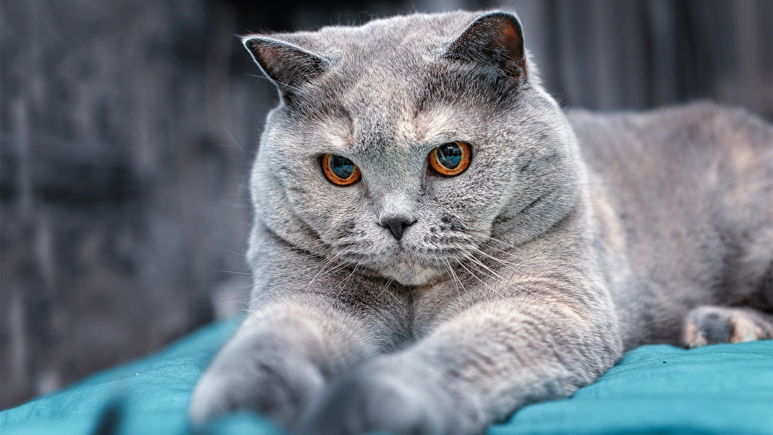 KAIYUN 中国大陆-_运动+旅游：探索未知的运动目的地_，运动型旅游目的地