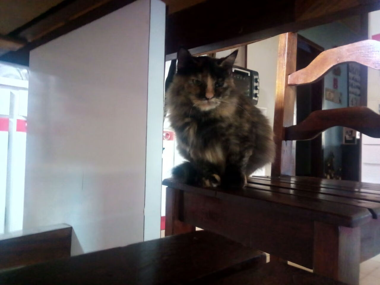 开云官网APP下载-“中国女足喜获国际友谊赛冠军，士气高昂”，2021女国足