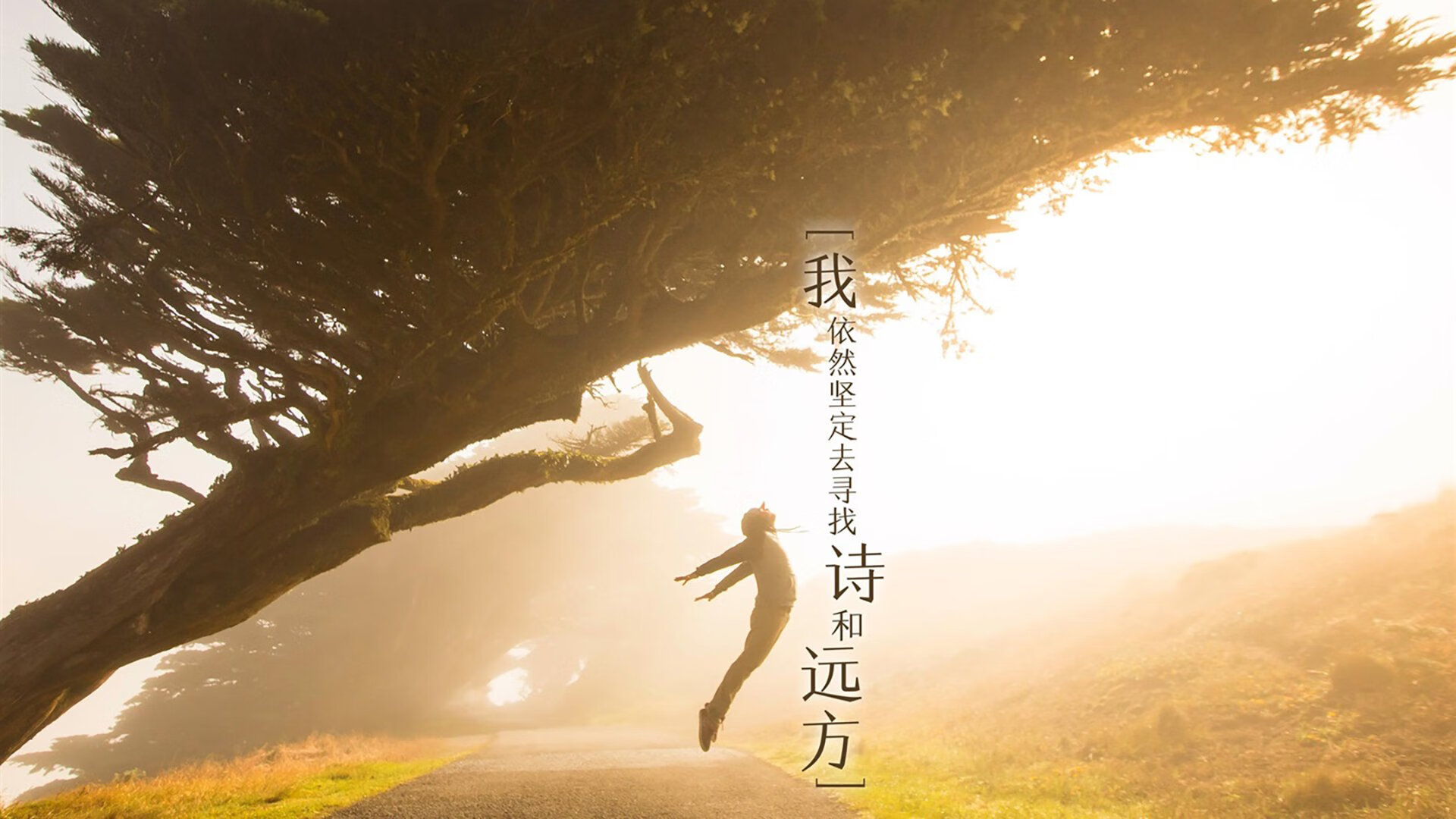 开云·体育官网APP下载-利兹联主场迎战埃弗顿，双方实力对比如何？，利兹联对埃弗顿预测