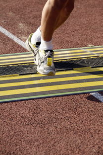 KAIYUNAPP-中国篮球教练员战术执行能力培养,篮球教练技术