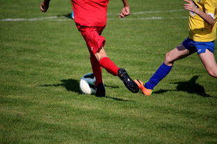 开云网页版-中超球员比赛热度曲线与表现匹配模型，中超热身赛