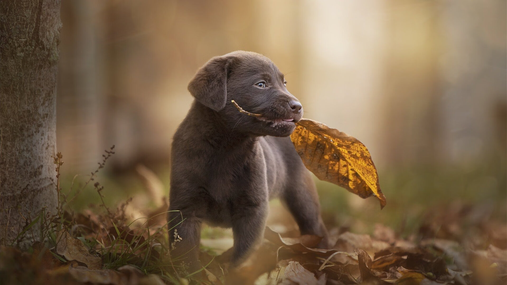 开云官方-中超球队球员年龄结构,中超球队平均年龄