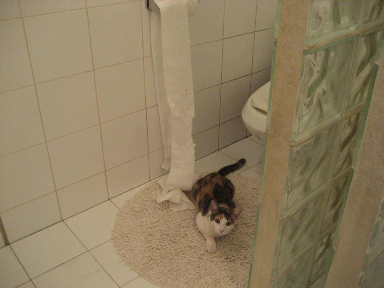 KAIYUNAPP-“定向越野：东部新区赛场考验运动员全方位能力”