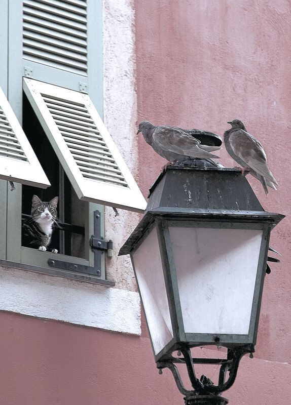 kaiyun.com-半场逆转科威特胜利提振球员士气,科威特近况