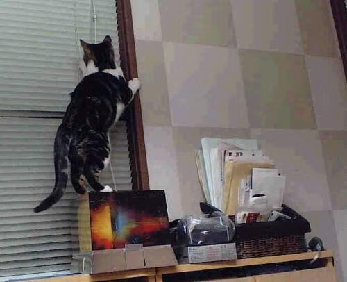 kaiyun.com-世界杯比赛中的技术创新应用，世界杯采用的是什么赛制