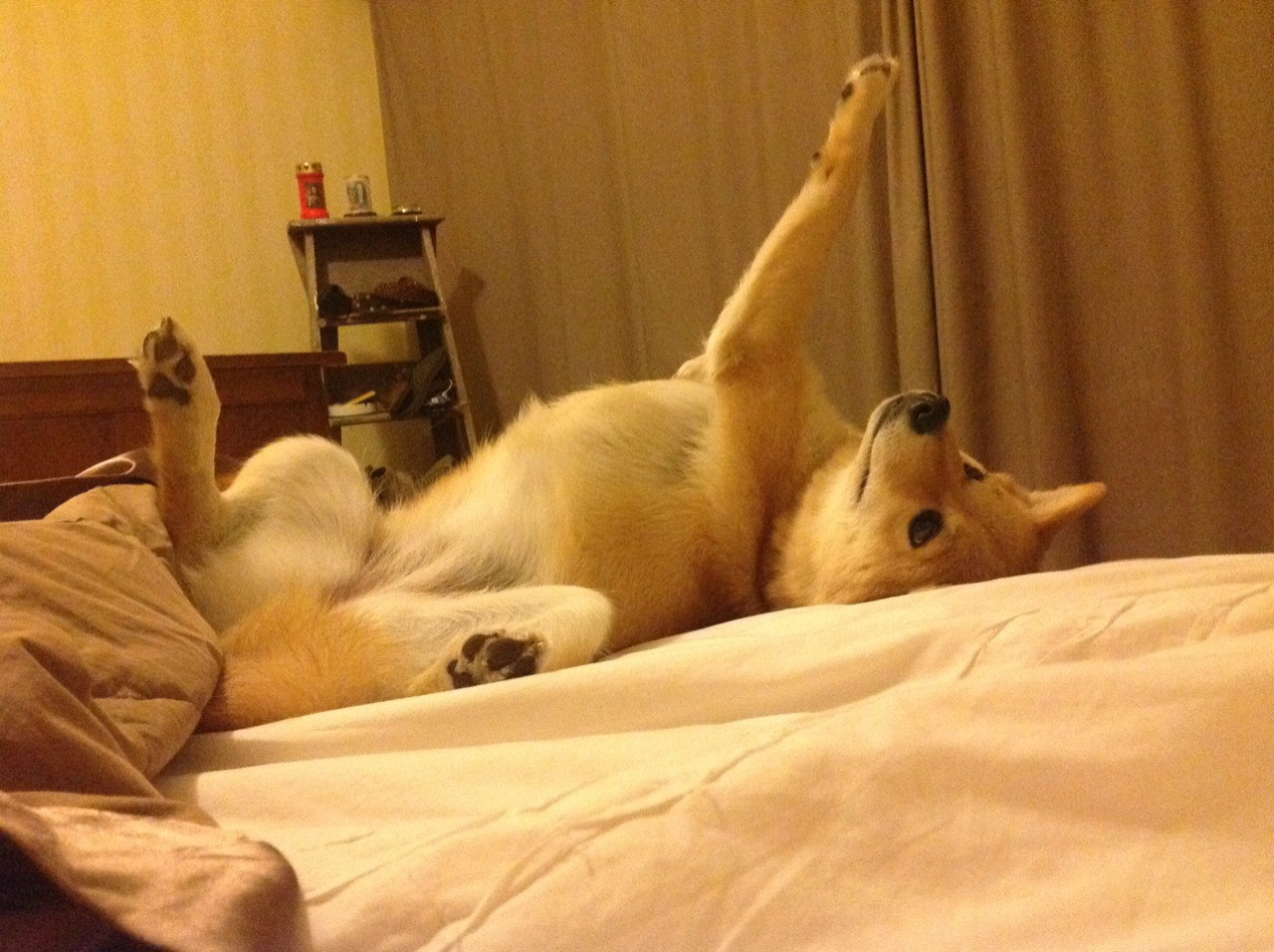 KAIYUN 中国大陆-中超重返高人气赛场体现球迷忠诚重燃，中超重启方案再调整