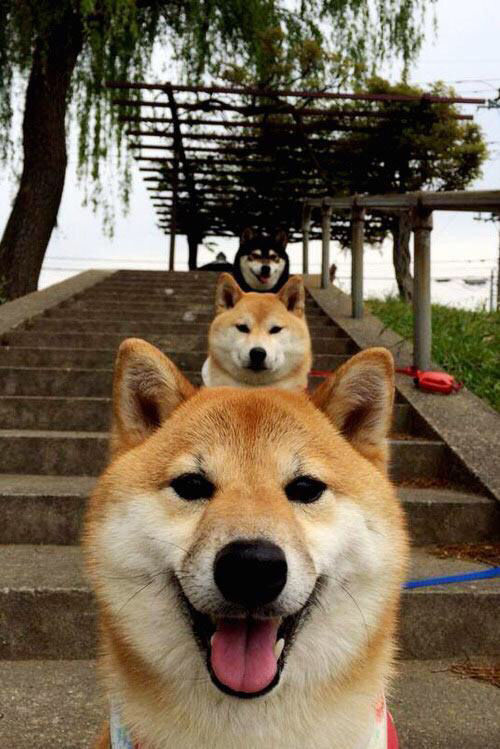 开云网页版-水球淘汰赛摩纳哥表现沉着冷静,水球淘汰赛摩纳哥表现沉着冷静吗