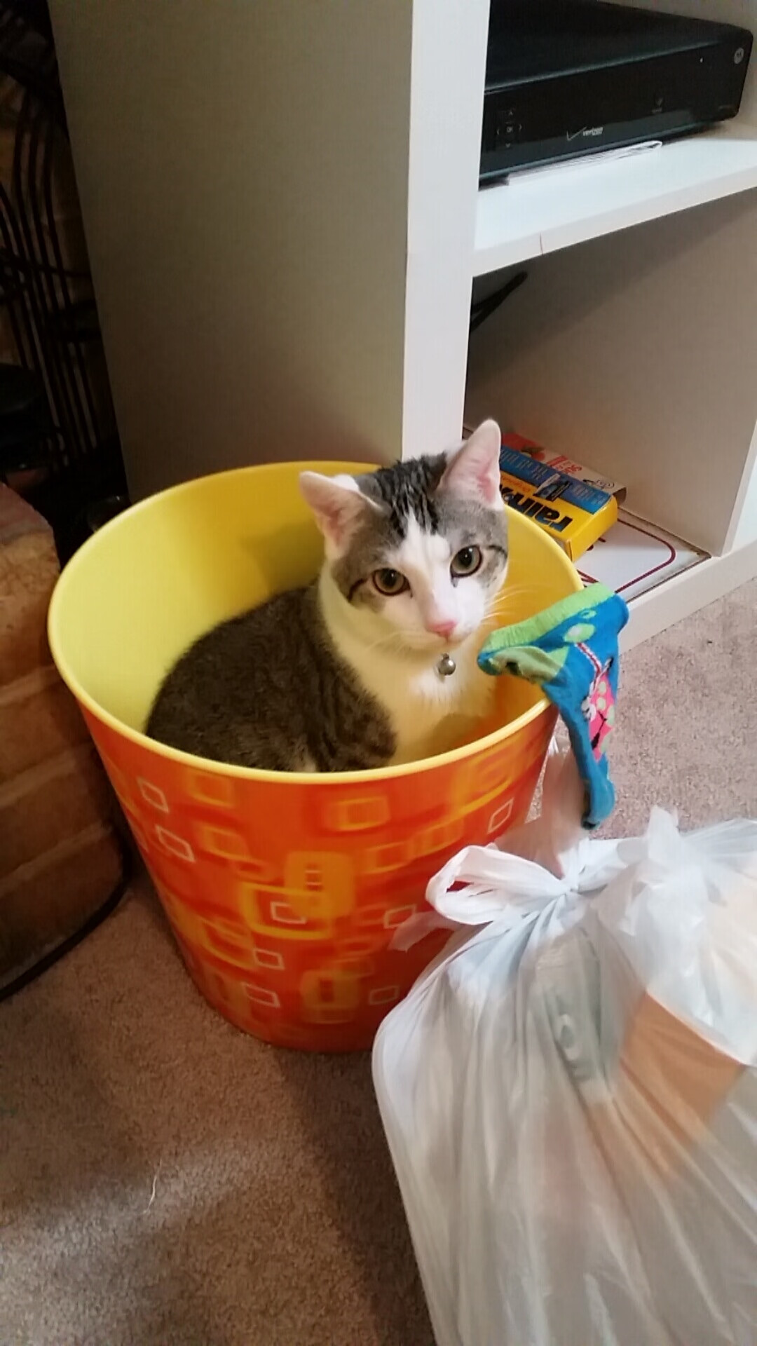 开云kaiyun-马克西姆·格鲁塞展现强大爆发力,格鲁马克4